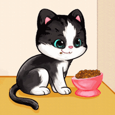 Black And White Cat Sitting Next To Bowl Of Cat Food GIF