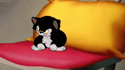 Black And White Cat Sitting On Bed GIF