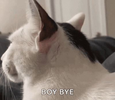 Black And White Cat Sitting On Couch Saying Boy Bye GIF