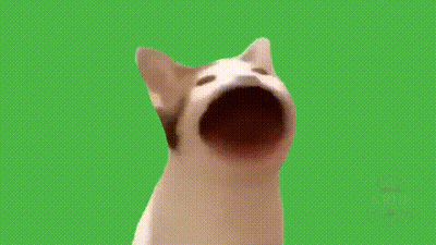 Black And White Cat Sitting On Couch GIF