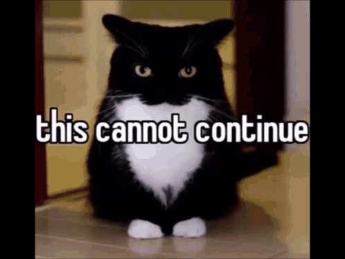Black And White Cat Sitting On Floor This Cannot Continue GIF