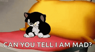 Black And White Cat Sitting On Pillow Saying Can You Tell I Am Mad GIF