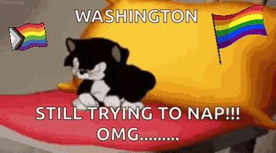 Black And White Cat Sitting On Pillow With Rainbow Flag GIF