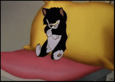 Black And White Cat Sitting On Pink Pillow GIF
