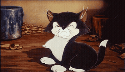 Black And White Cat Sitting GIF