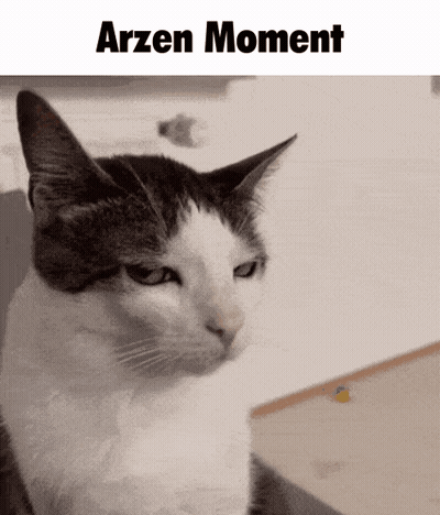 Black And White Cat Sitting With Arzen Moment GIF
