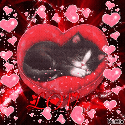 Black And White Cat Sleeping In Red Heart Pillow GIF