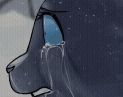 Black And White Cat Standing Next To Two Cats GIF