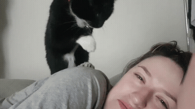 Black And White Cat Standing On Woman's Head GIF