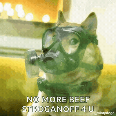 Black And White Cat Standing With Lol I'm Dying GIF