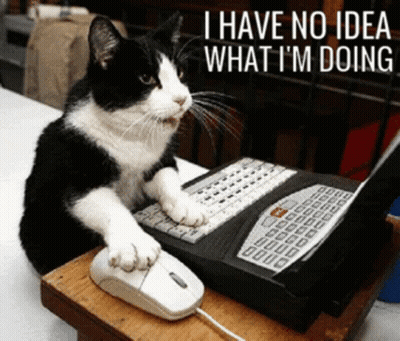 Black And White Cat Typing Saying I Have No Idea What I'm Doing GIF