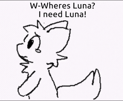 Black And White Cat W-Wheres Luna I Need Luna GIF