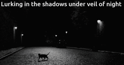 Black And White Cat Walking At Night Lurking In Shadows Under Veil Of Ni GIF