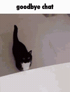 Black And White Cat Walking On Wall Goodbye Chat GIF