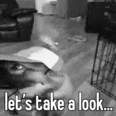 Black And White Cat Wearing Baseball Cap GIF