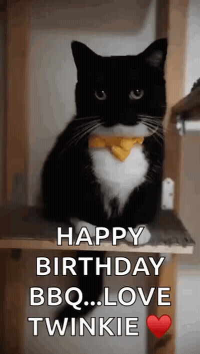 Black And White Cat Wearing Bow Tie Says Happy Birthday GIF