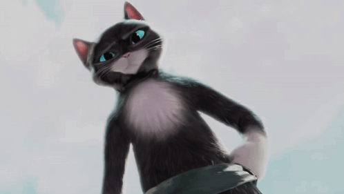 Black And White Cat With Blue Eyes Looking Up GIF