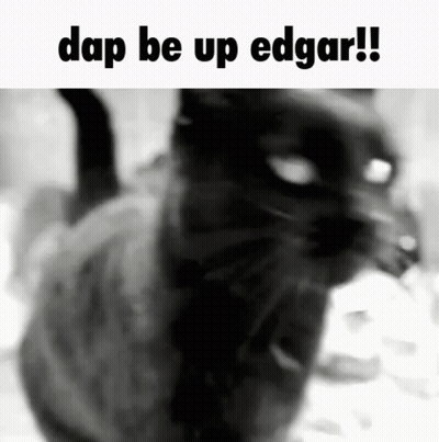 Black And White Cat With Dap Be Up Edgar GIF