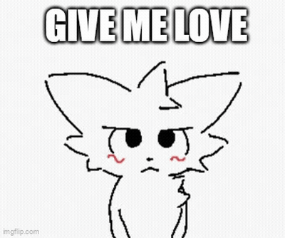 Black And White Cat With Give Me Love GIF