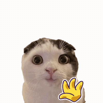 Black And White Cat With Hand Sticker GIF