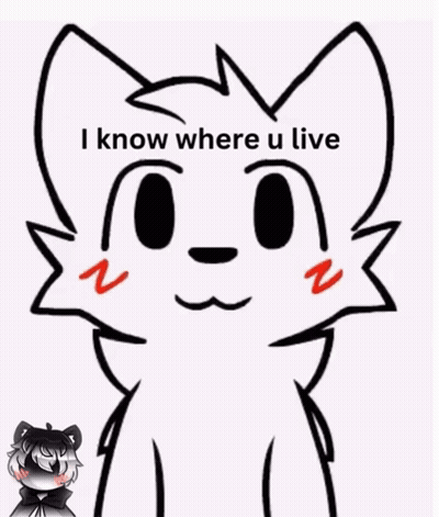 Black And White Cat With I Know Where U Live GIF