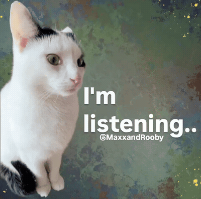 Black And White Cat With I'm Listening Behind It GIF