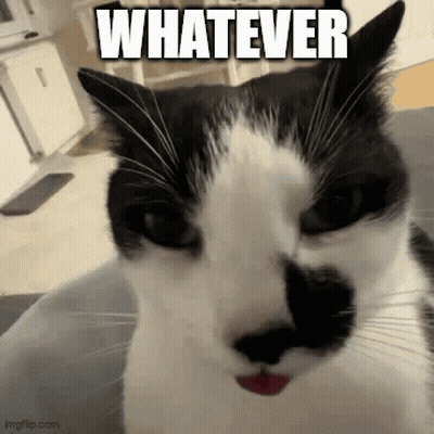 Black And White Cat With Mustache In Bucket Saying Whatever GIF
