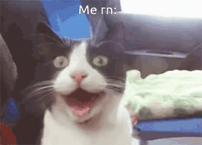 Black And White Cat With Open Mouth Saying Me Rn GIF