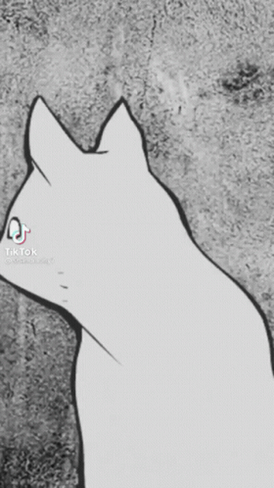 Black And White Cat With TikTok Logo GIF