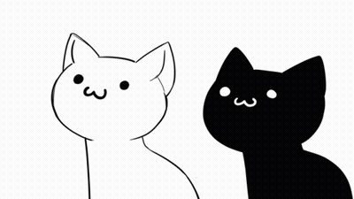 Black And White Cat With Yellow Square On Head GIF