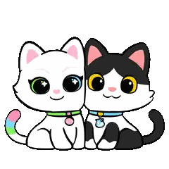 Black And White Cats Sitting Together Sticker