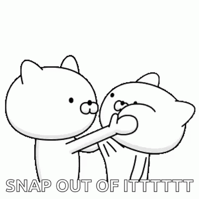 Black And White Cats Snap Out Of It GIF