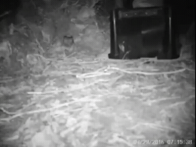Black And White Chair And Speaker GIF