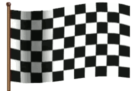 Black And White Checkered Flag Sticker