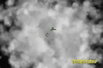 Black And White Cloudy Sky Patty Parker GIF