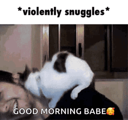 Black And White Couple Snuggles GIF