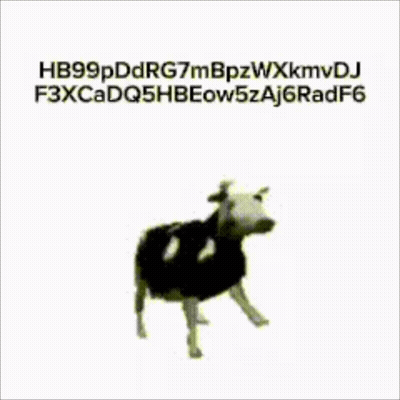 Black And White Cow GIF