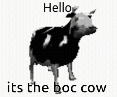 Black And White Cow Hello Its The Boc Cow GIF