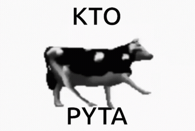 Black And White Cow Kto Pyta GIF