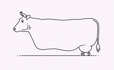 Black And White Cow Laying Down GIF