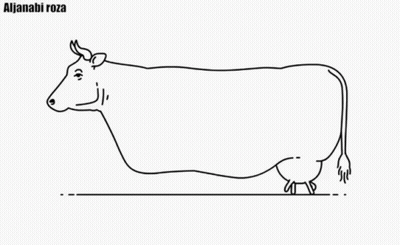 Black And White Cow Line Drawing Alija Nabi Roza GIF