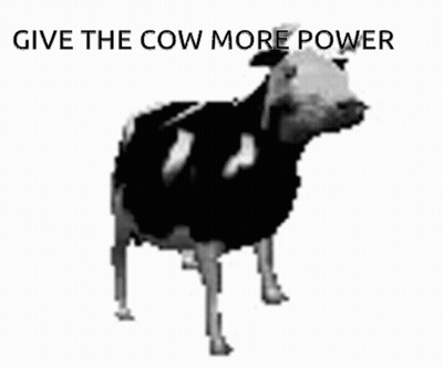 Black And White Cow Saying I Am Fucking Losing It GIF