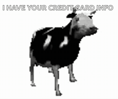 Black And White Cow Saying I Have Your Credit Card Info GIF