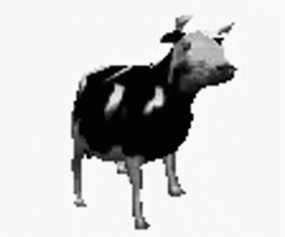 Black And White Cow Tylko Jedno W Głowie Mam GIF
