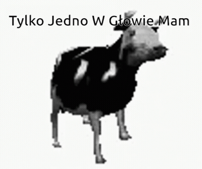 Black And White Cow Tylko Jedno W Głowie Mam GIF