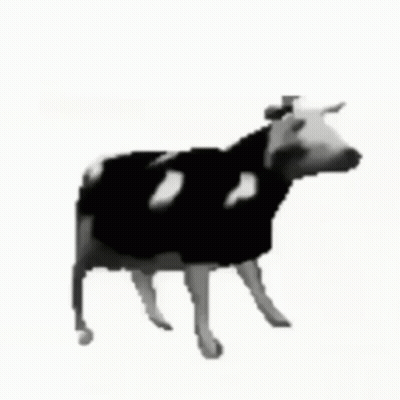Black And White Cow With White Spots GIF