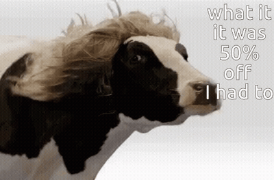 Black And White Cow With Wig Saying What It Was 50% Off I Had To GIF