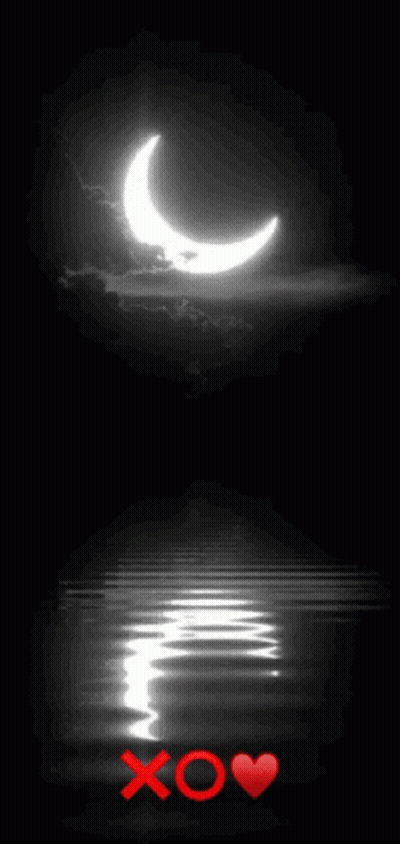 Black And White Crescent Moon XO Heart GIF