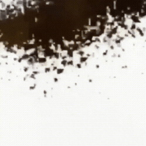 Black And White Crowd On Street GIF