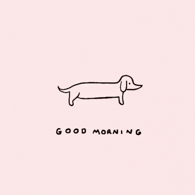 Black And White Dachshund Good Morning Pink Background GIF